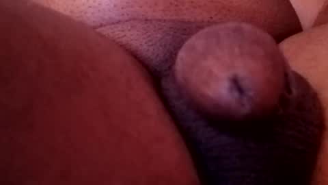 Snapshot of bcfalcon69 chatting on February 2026 05:36:01 AM bcfalcon69 online show from February 2026 05:36:01 AM