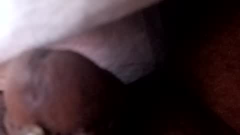 bcfalcon69 online show from July 2026 05:46:02 AM