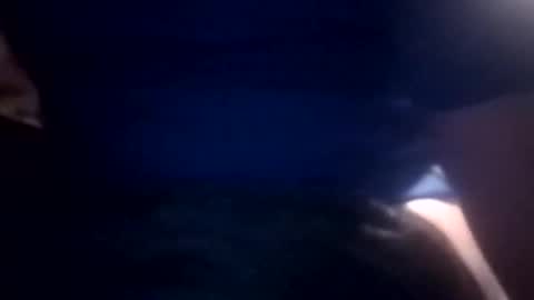 bcmow123 online show from February 2026 06:24:01 AM