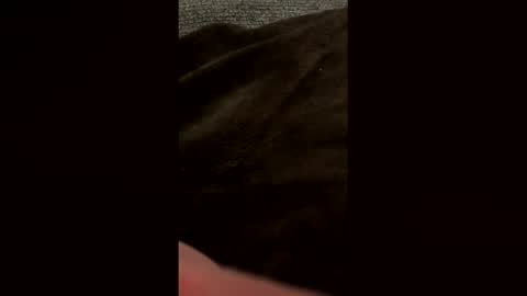 Snapshot of bdddave chatting on March 2026 12:14:01 AM bdddave online show from March 2026 12:14:01 AM