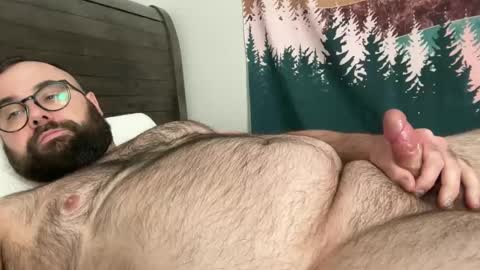 Snapshot of bear_country chatting on February 2025 06:54:02 PM bear_country online show from February 2025 06:54:02 PM