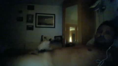 bearboudior online show from January 2025 12:55:01 AM