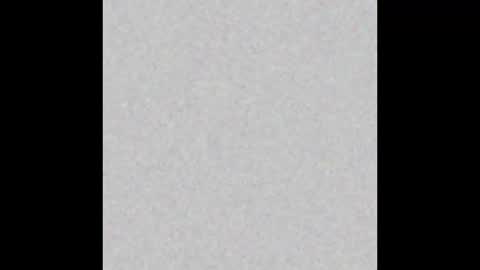 bearded_fellow online show from September 2025 05:51:01 PM