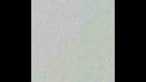 Snapshot of beatedgod chatting on November 2025 02:17:02 PM beatedgod online show from November 2025 02:17:02 PM