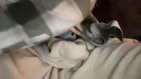 beatsbyjay online show from March 2026 11:55:01 PM