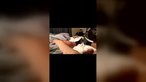 beaverwatcher online show from April 2026 01:32:01 AM