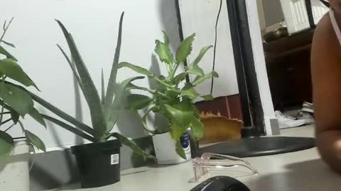 Snapshot of bebesitadiaz chatting on April 2026 02:27:02 AM bebesita online show from April 2026 02:27:02 AM