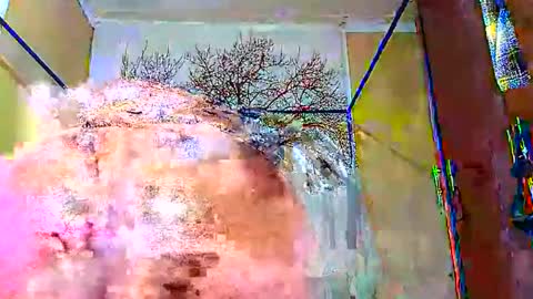 beencee2 online show from January 2025 04:10:02 AM