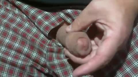  Reservoir Dogs online show from November 2025 05:45:02 PM