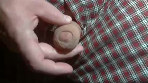  Reservoir Dogs online show from January 2026 01:00:02 AM