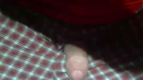  Reservoir Dogs online show from February 2026 12:48:02 AM