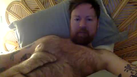 Beewolf online show from October 2025 03:03:02 AM