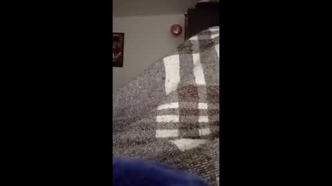 belcebu472402 online show from November 2025 02:41:01 PM