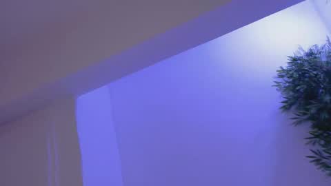 Snapshot of bella_vixen_ chatting on February 2026 08:49:01 PM Bella online show from February 2026 08:49:01 PM