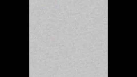 Bella online show from February 2026 11:20:02 AM