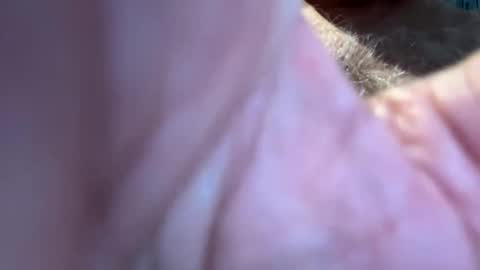 Snapshot of benz10001 chatting on September 2025 12:49:02 PM benz10001 online show from September 2025 12:49:02 PM