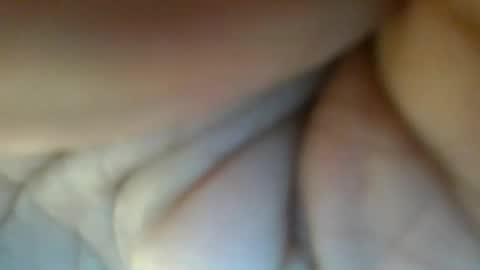 Berbie eva online show from February 2026 12:34:01 PM