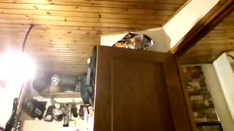 Snapshot of bernichaos77 chatting on February 2026 02:34:02 AM bernichaos77 online show from February 2026 02:34:02 AM