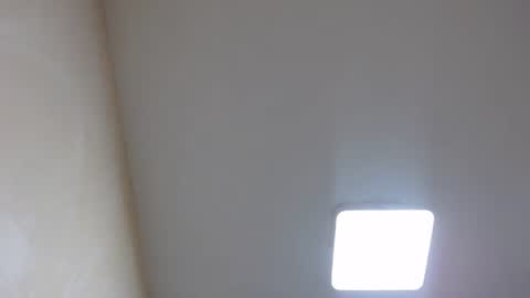 Snapshot of bevora13 chatting on January 2025 08:32:02 PM Nixie online show from January 2025 08:32:02 PM