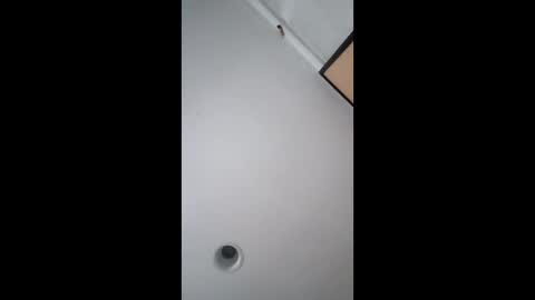 Snapshot of bgiamba21 chatting on February 2026 05:48:02 AM bgiamba21 online show from February 2026 05:48:02 AM