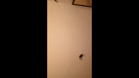 Snapshot of bgiamba21 chatting on March 2026 06:19:01 AM bgiamba21 online show from March 2026 06:19:01 AM