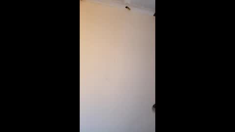 Snapshot of bgiamba21 chatting on March 2026 06:41:01 AM bgiamba21 online show from March 2026 06:41:01 AM