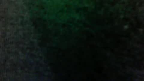 Snapshot of big9inchesss656458 chatting on June 2026 02:17:01 AM BigMike9inches online show from June 2026 02:17:01 AM