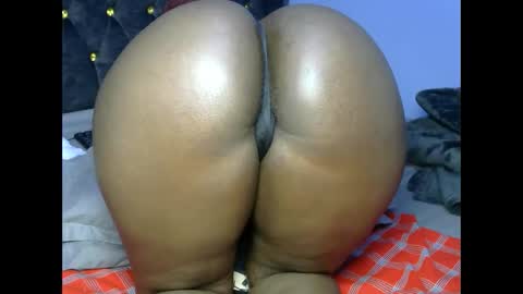 bbw online show from October 2025 08:00:02 AM