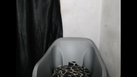 Snapshot of bigassdrip chatting on April 2026 07:06:01 PM bigassdrip online show from April 2026 07:06:01 PM