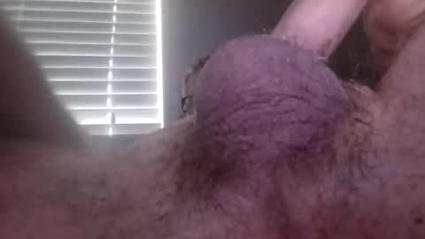 bigbikes71781 online show from January 2025 02:04:01 PM