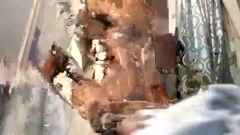 Snapshot of bigblackcockmello chatting on December 2024 01:28:02 AM bigblackcockmello online show from December 2024 01:28:02 AM