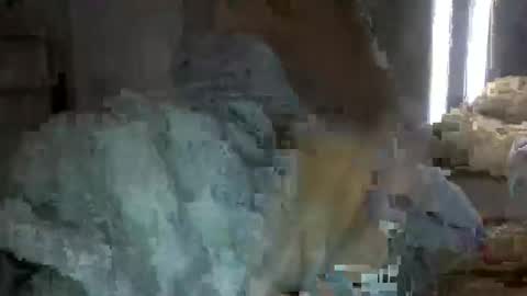 bigbootydimpless online show from December 2024 02:15:02 AM