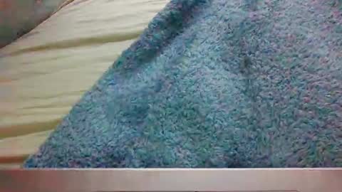 bigbootydimpless online show from January 2025 03:50:02 AM