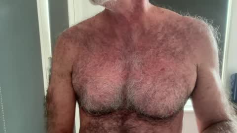 Snapshot of bigbush1 chatting on June 2026 01:19:02 AM big bush online show from June 2026 01:19:02 AM