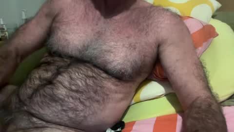Snapshot of bigbush1 chatting on July 2026 08:52:01 AM big bush online show from July 2026 08:52:01 AM