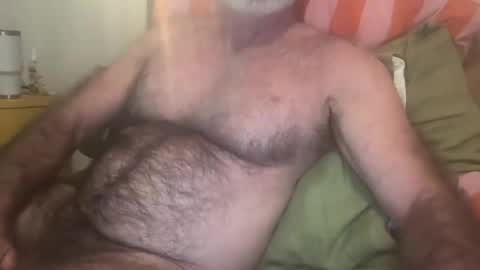 Snapshot of bigbush1 chatting on July 2026 07:23:02 AM big bush online show from July 2026 07:23:02 AM