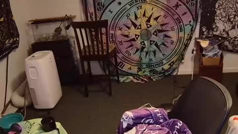 Cock and Cheese online show from February 2025 05:01:01 AM