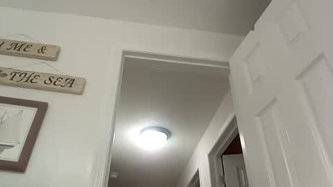 bg online show from December 2024 08:55:02 PM