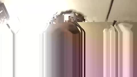 Big Daddy 1988 S online show from November 2025 06:14:01 AM