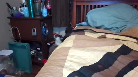 Snapshot of bigdaddy199030 chatting on February 2025 02:34:01 AM BigDaddy199030 online show from February 2025 02:34:01 AM