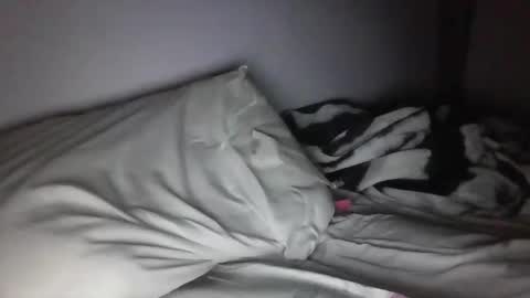 Snapshot of bigdaddyy485949 chatting on December 2024 12:46:02 AM bigdaddyy485949 online show from December 2024 12:46:02 AM