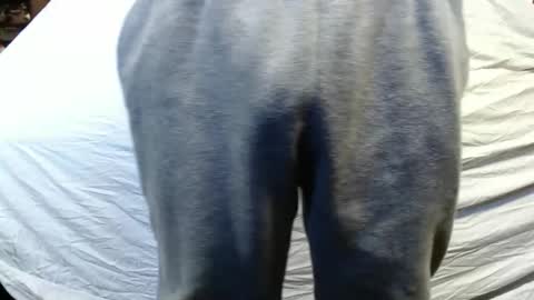 bigdickdaddy567130413 online show from January 2025 05:47:02 PM