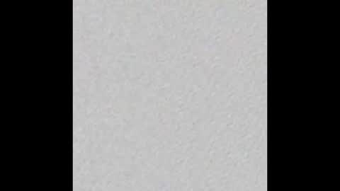 Snapshot of bigdickded chatting on February 2025 10:33:02 AM Bullforthecucks online show from February 2025 10:33:02 AM