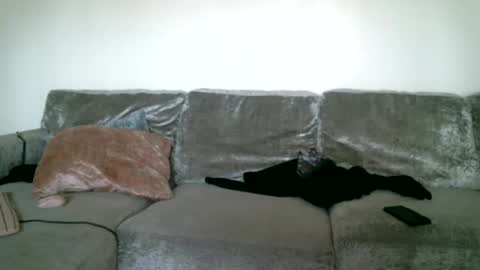 CAJEinc online show from February 2025 05:39:02 PM