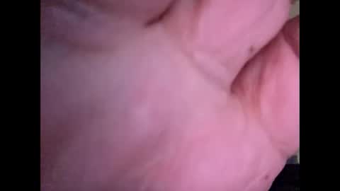 Snapshot of bigguunn chatting on March 2026 11:33:01 PM bigguunn online show from March 2026 11:33:01 PM