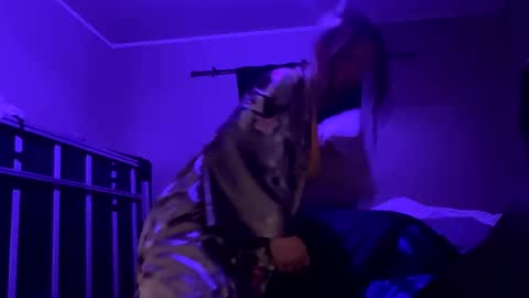 Snapshot of bigkitties69 chatting on January 2025 02:17:02 PM Bigkitties online show from January 2025 02:17:02 PM