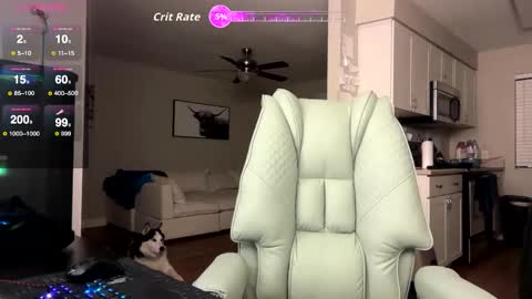 Snapshot of bigmcr1 chatting on February 2026 02:53:01 AM Nick Barker online show from February 2026 02:53:01 AM