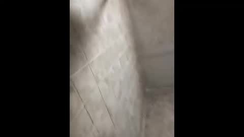 bignastyfilthy online show from September 2025 02:38:02 AM