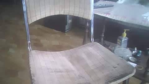 bigpenix online show from December 2025 03:41:02 PM