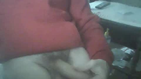 bigpenix online show from June 2026 01:32:02 AM